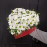 Композиция Признание